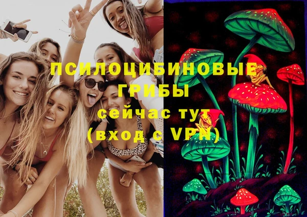 ГАЛЛЮЦИНОГЕННЫЕ ГРИБЫ Балабаново