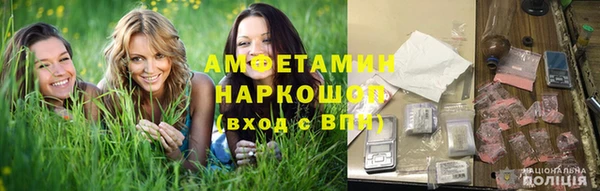 ГАЛЛЮЦИНОГЕННЫЕ ГРИБЫ Балабаново